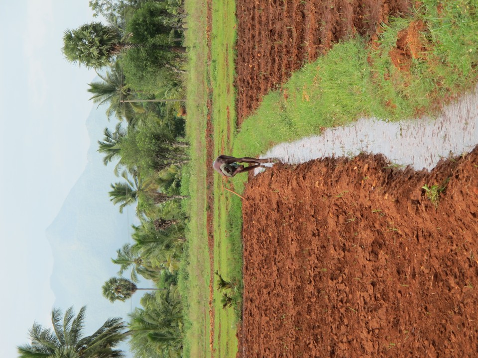 VLE Farm IMG_0600